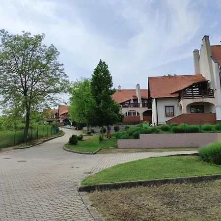 Bodzafa Apartment *